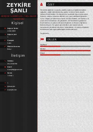 Hasta ve Yaşlı Bakım Elemanı Cv Örnekleri cv indir